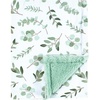 Eucalyptus