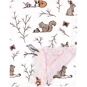 image:imageHudson Baby Infant Girl Plush Blanket with Furry Binding and Back Fairytale Princess One SizeEnchanted Forest