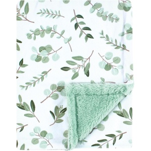 image:imageHudson Baby Infant Girl Plush Blanket with Furry Binding and Back Fairytale Princess One SizeEucalyptus
