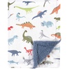 Dinosaurs