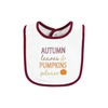 image:imageHudson Baby Unisex Baby Cotton Bibs Princess One SizePumpkin Spice Date